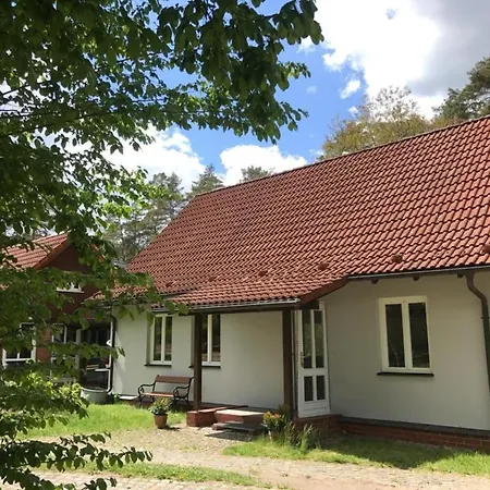 Waldoase 1 Rheinsberg