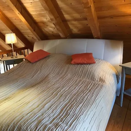 Waldoase 1 Rheinsberg