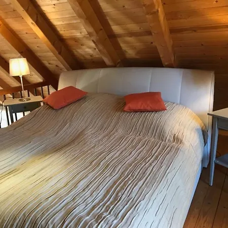 Waldoase 1 Rheinsberg